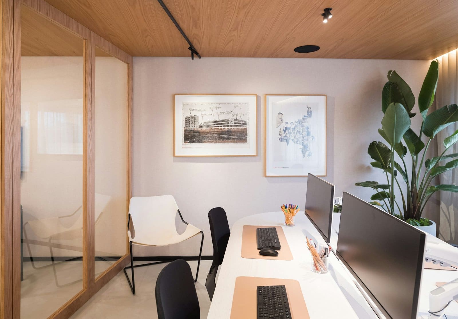 Modern office workspace with two desks, computer monitors, wooden ceiling, and potted plant